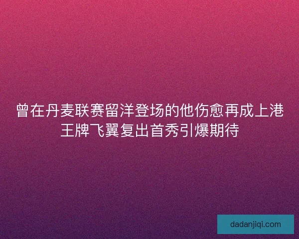 曾在丹麦联赛留洋登场的他伤愈再成上港王牌飞翼复出首秀引爆期待