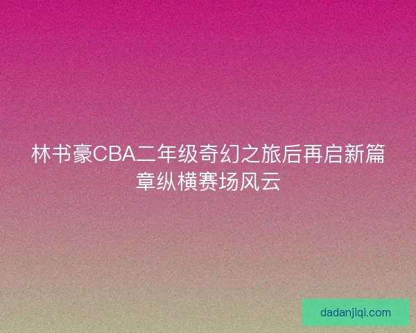 林书豪CBA二年级奇幻之旅后再启新篇章纵横赛场风云